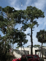 DSCN5205.jpg (718745 bytes)