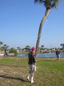 DSCN1271.JPG (277645 bytes)