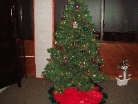 DSC01407.jpg (3361754 bytes)