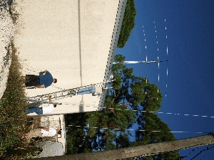 PC220293.jpg (2245536 bytes)